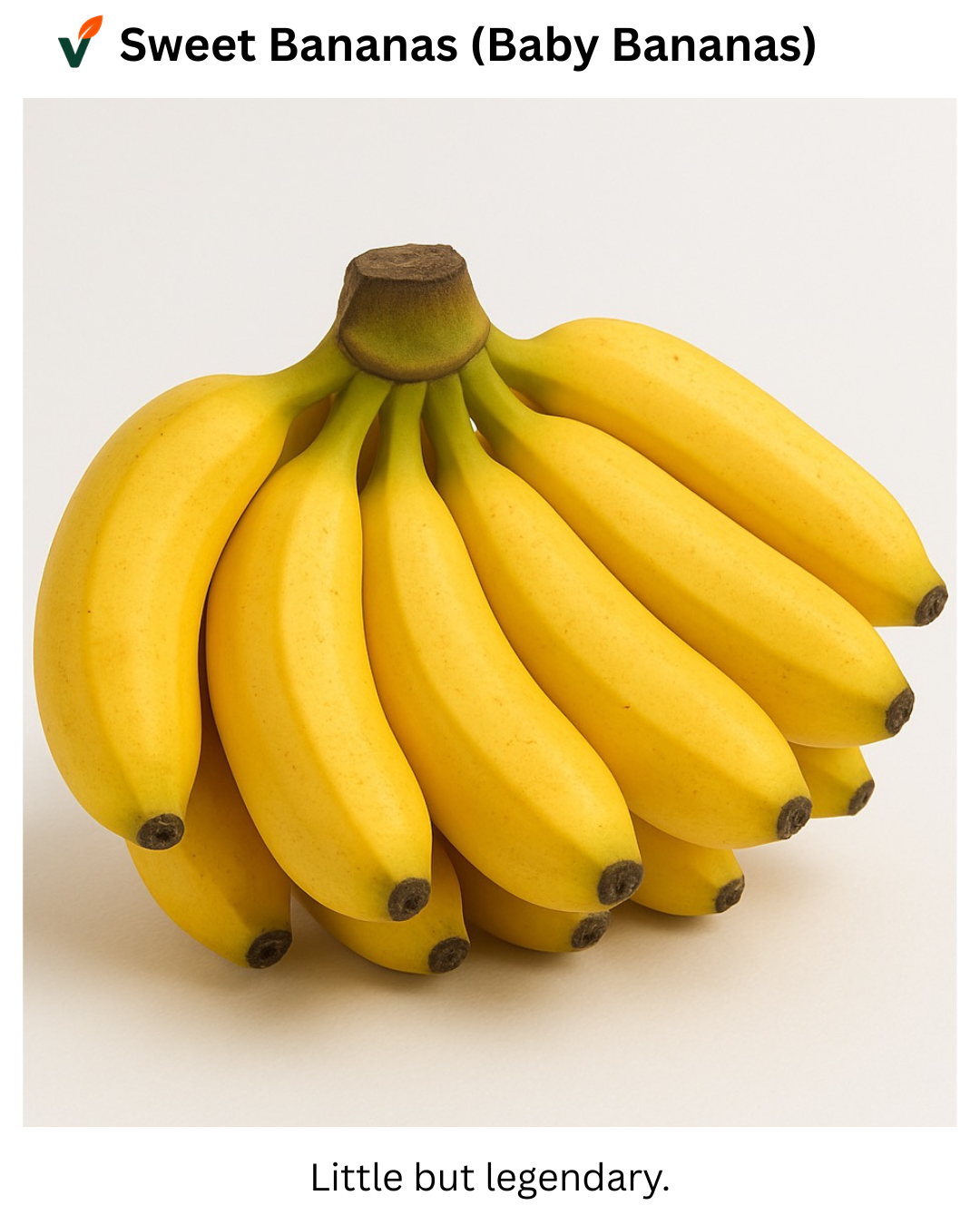 Bananas (Fresh & Naturally Ripened)
