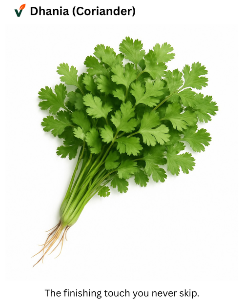 Bunch of green coriander leaves on a white background with 'Dhania (Coriander)' text and tagline.