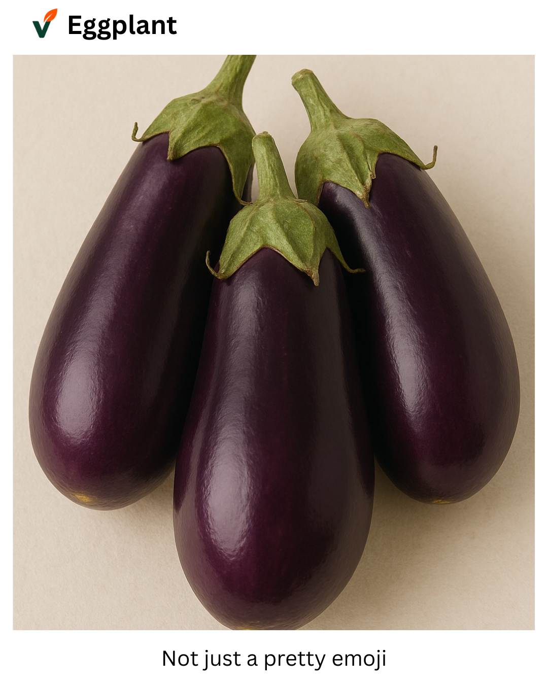 Eggplant (Fresh Aubergine)