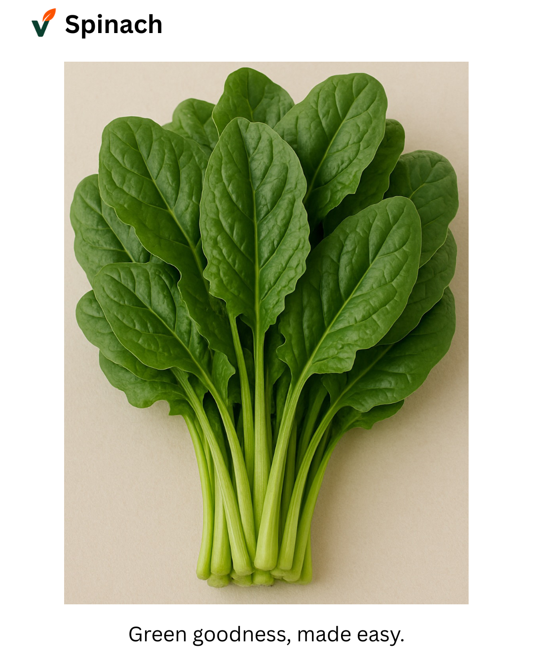 Fresh spinach leaves from Vuno