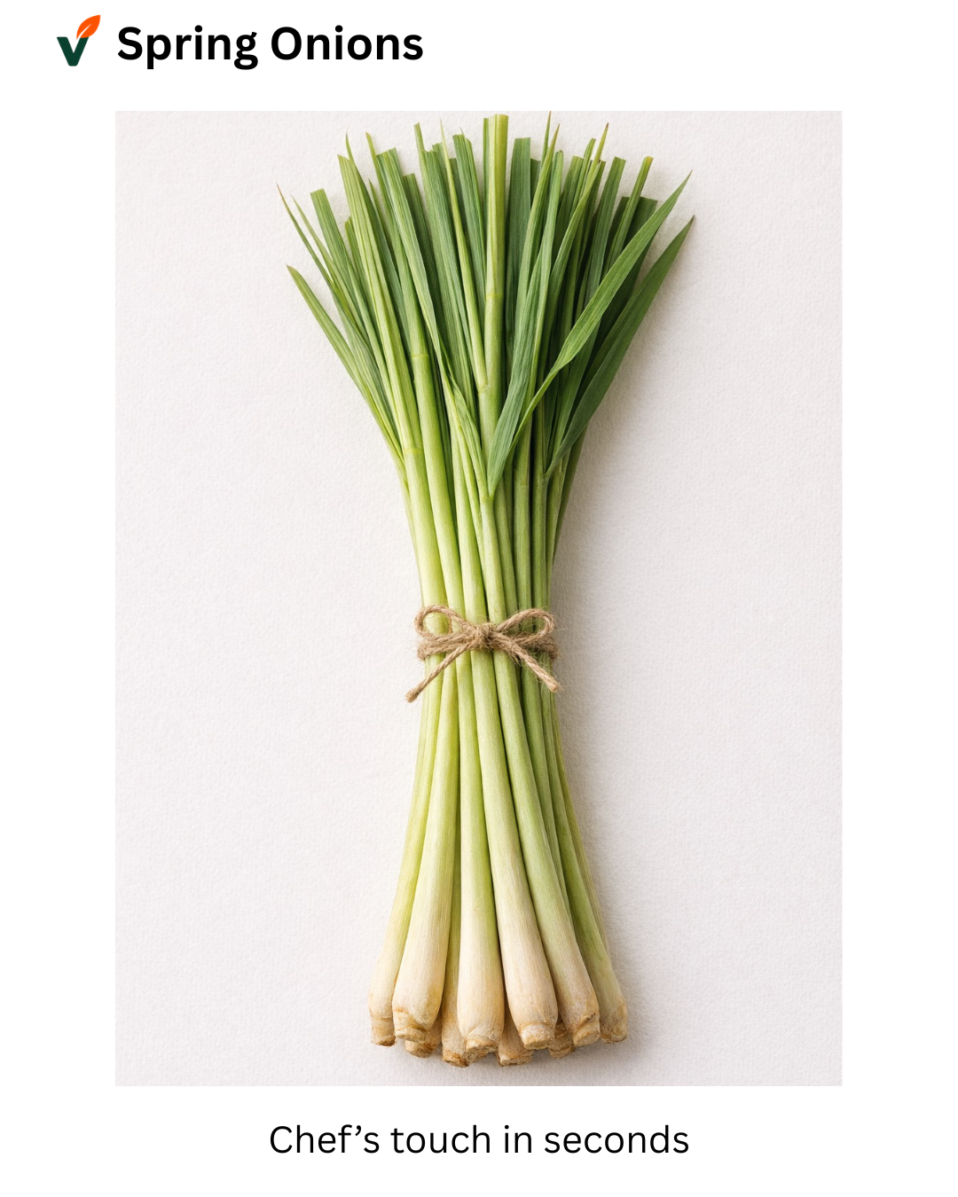 Fresh spring onions (scallions) bundle from Vuno