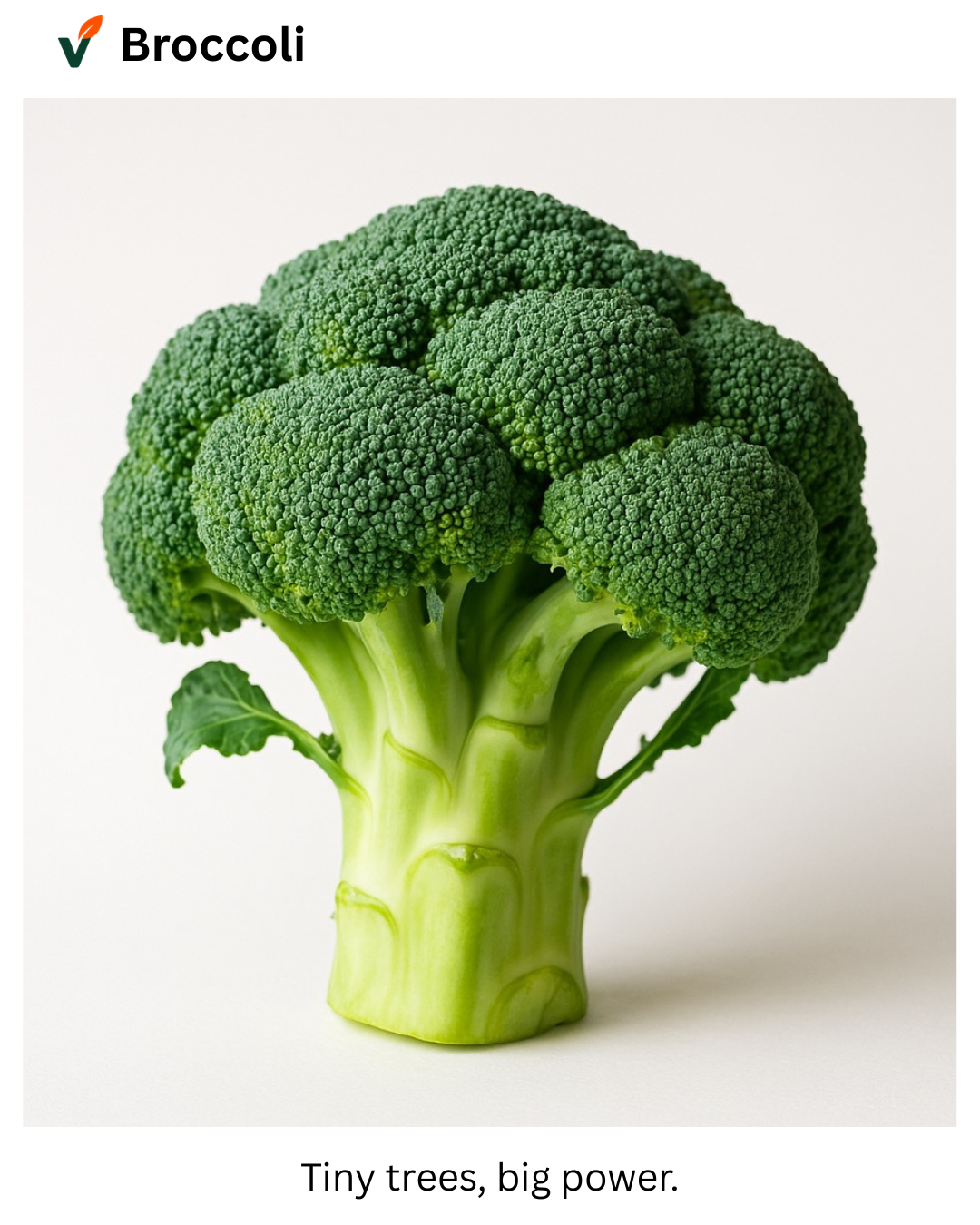 Fresh broccoli head from Vuno