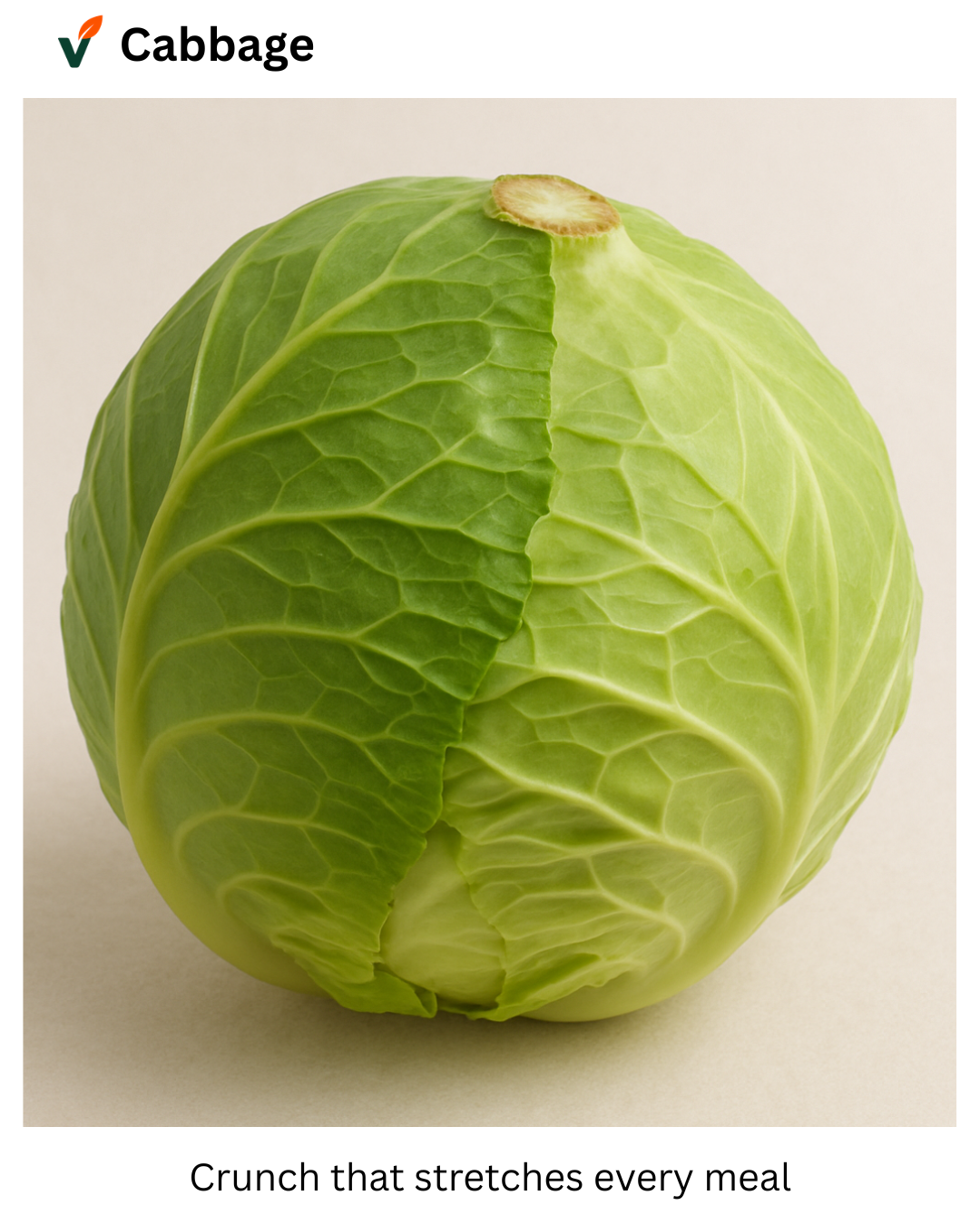 Fresh Kenyan green cabbage head from Vuno