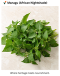 Managu (African Nightshade – Traditional Greens)
