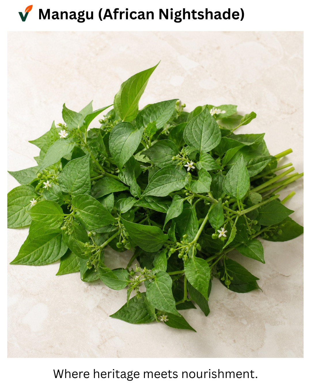 Managu (African Nightshade – Traditional Greens)
