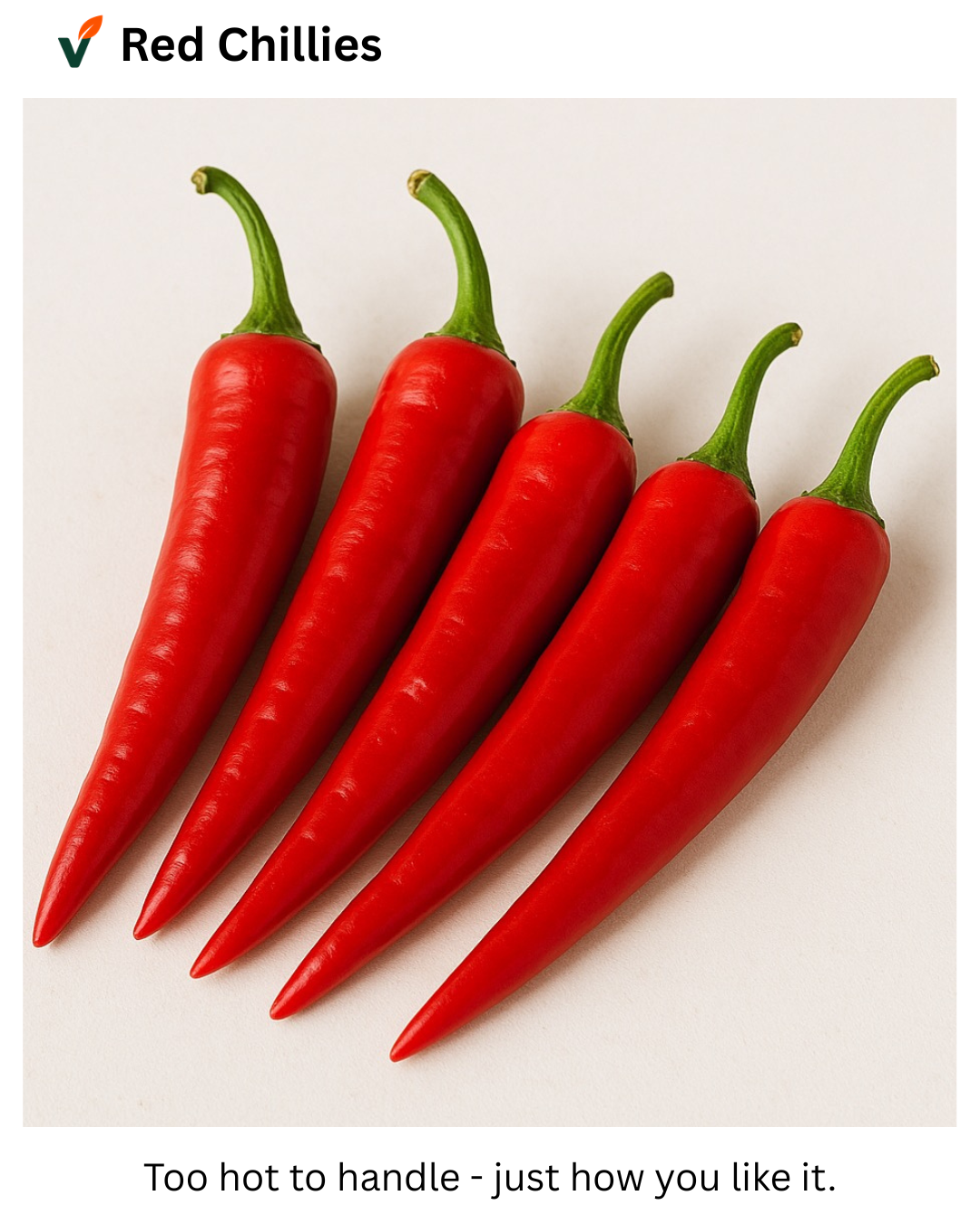 Red Chilli (Hot & Flavorful)