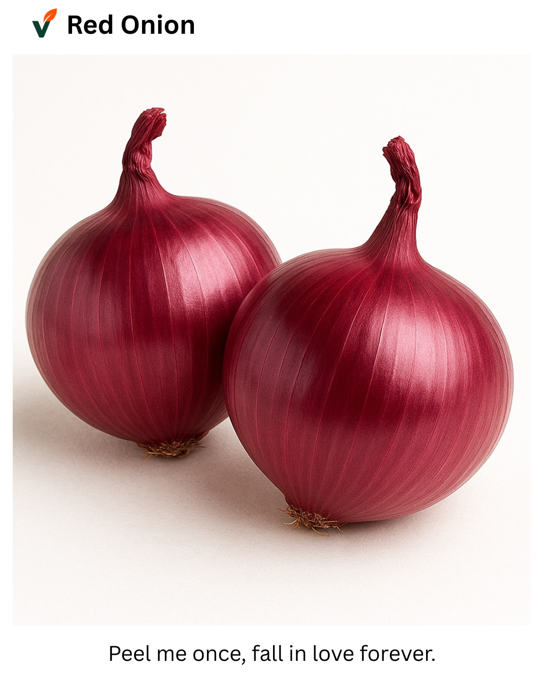 Two red onions on a white background with 'Red Onion' branding.