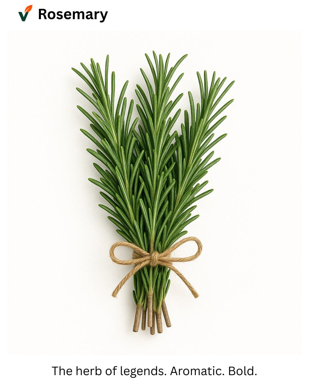 Rosemary