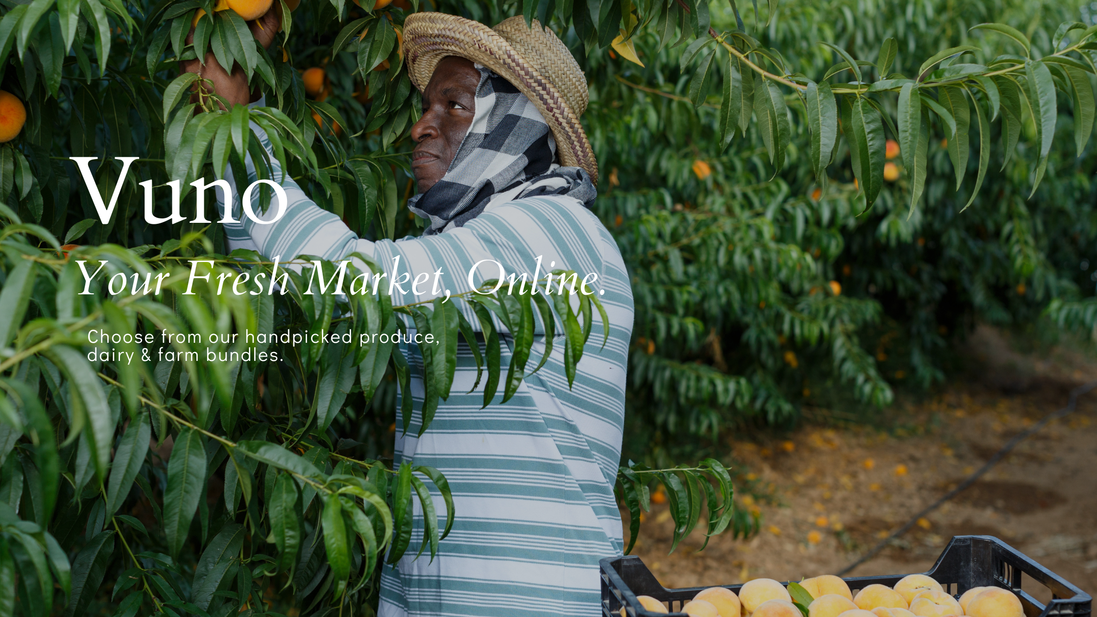 Person working in a fruit orchard with 'Vuno' branding overlay.